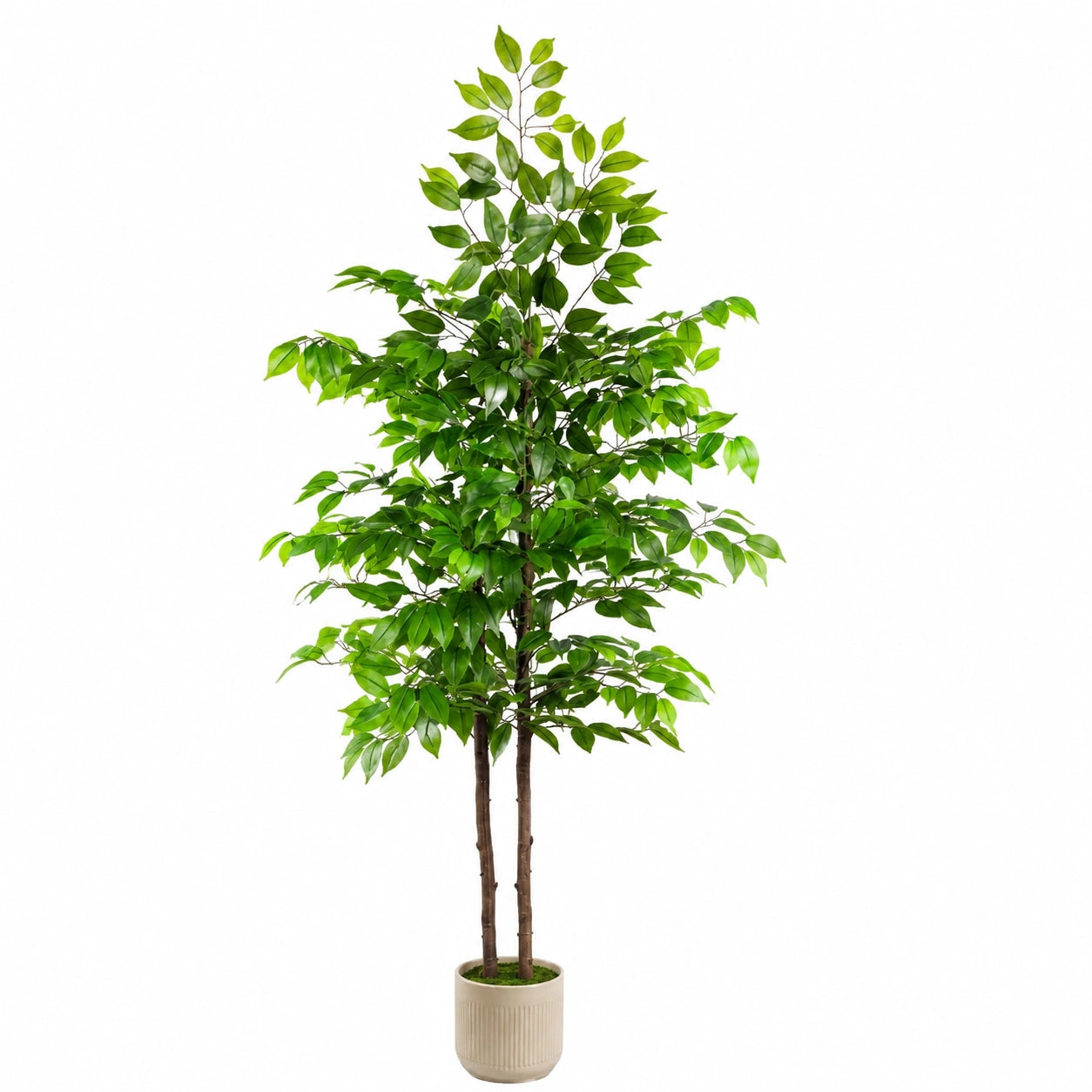 Künstlicher Ficus 180 cm Grün mit Keramiktopf