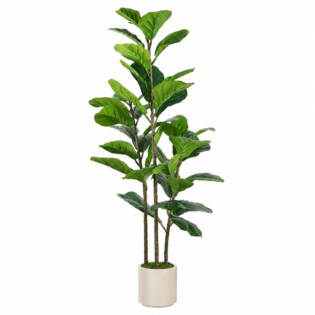 Künstliche Ficus Lyrata Pflanze 180 cm mit Keramiktopf
